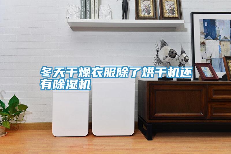 冬天干燥衣服除了烘干机还有辣椒视频APP下载并安装