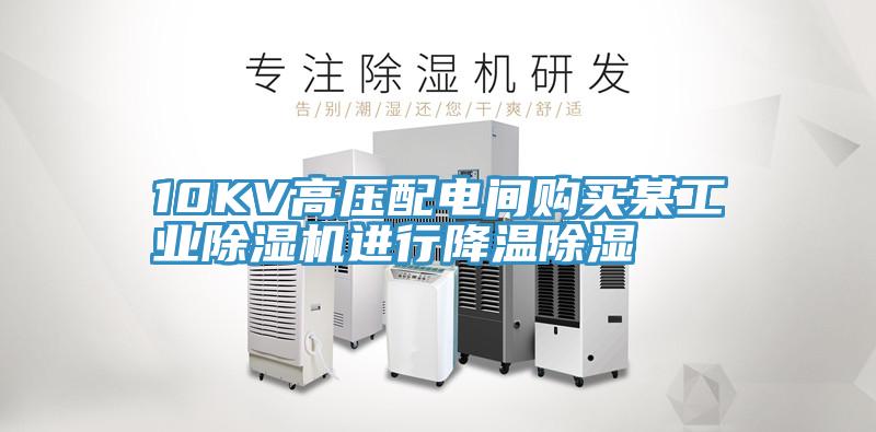 10KV高压配电间购买某工业辣椒视频APP下载并安装进行降温除湿