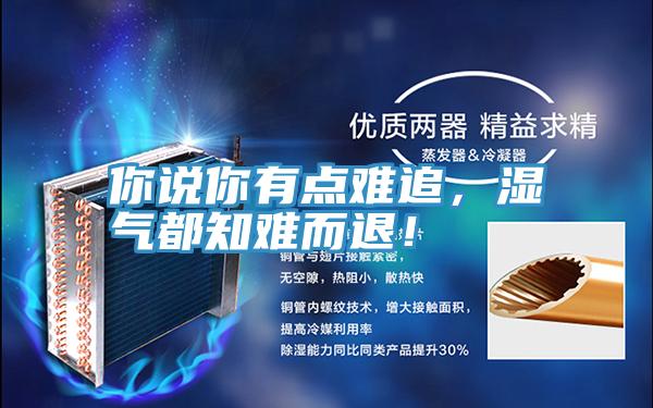 你说你有点难追，湿气都知难而退！