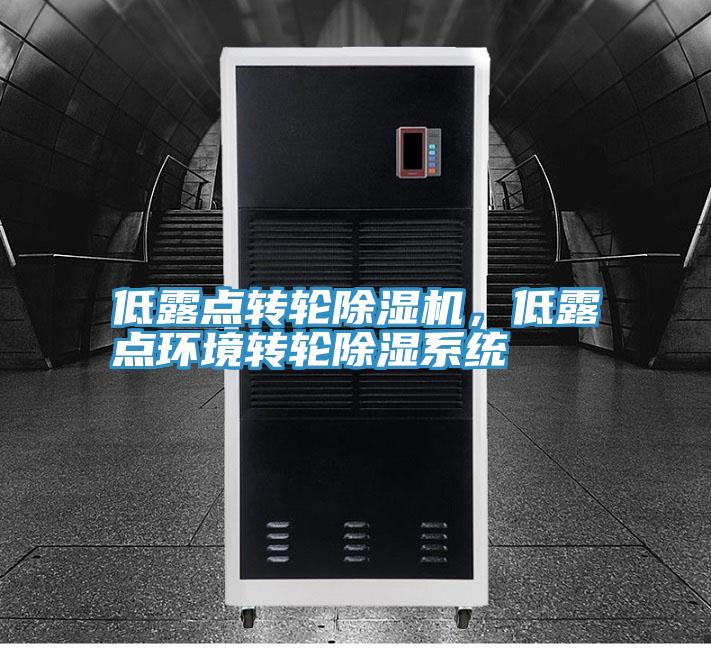低露点转轮辣椒视频APP下载并安装，低露点环境转轮除湿系统