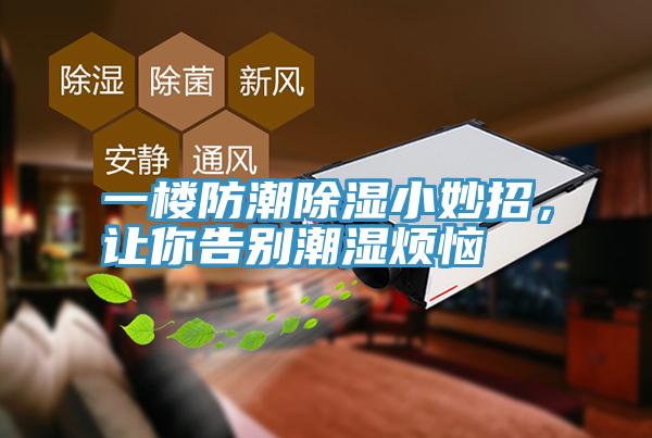 一楼防潮除湿小妙招，让你告别潮湿烦恼