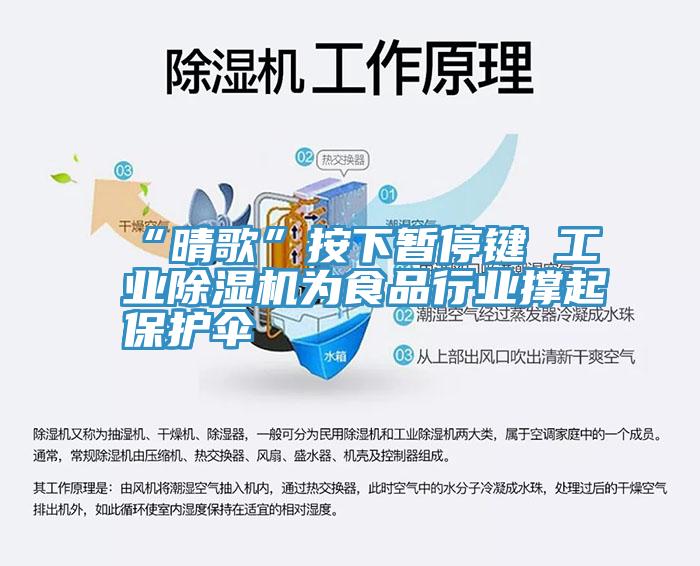 “晴歌”按下暂停键 工业辣椒视频APP下载并安装为食品行业撑起保护伞