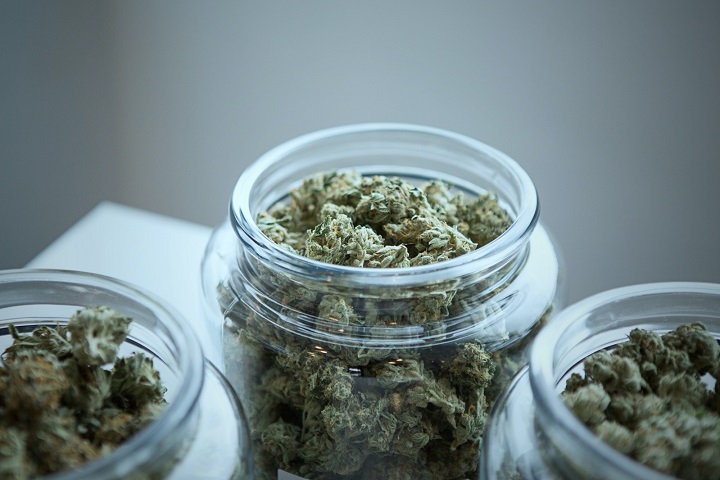 如何让中草药烘干过程“药性”不流失？
