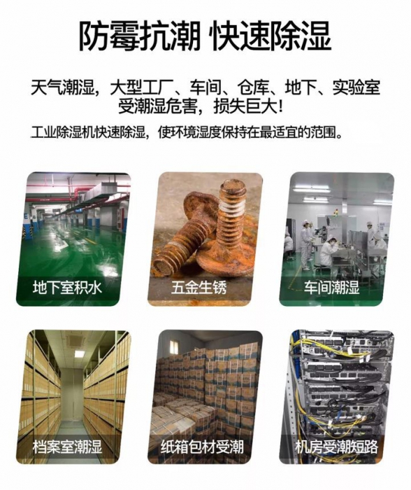 工业辣椒视频APP下载并安装如何在地下室防潮除湿