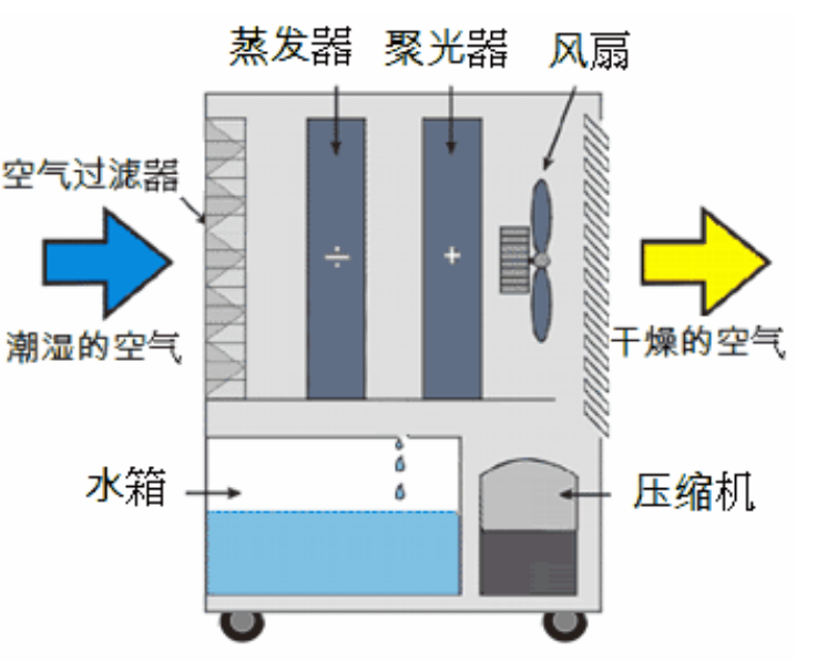 转轮辣椒视频APP下载并安装启动不正常的原因