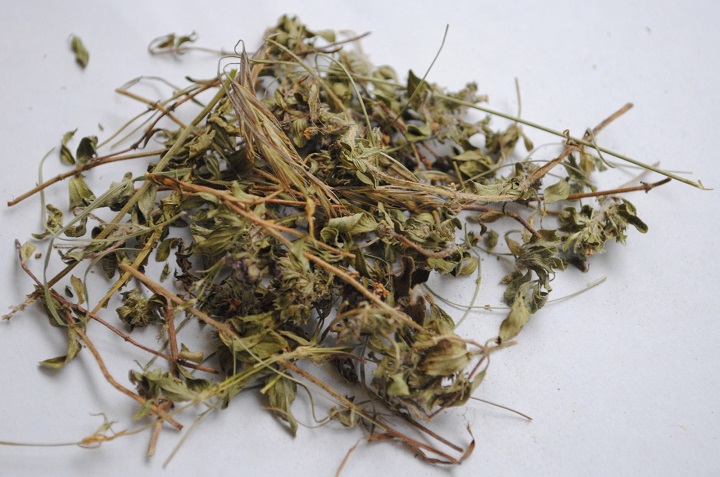 辣椒视频软件烘干机