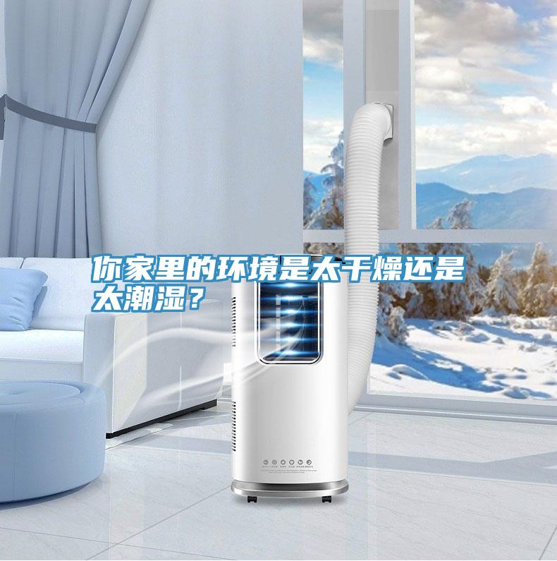 你家里的环境是太干燥还是太潮湿？