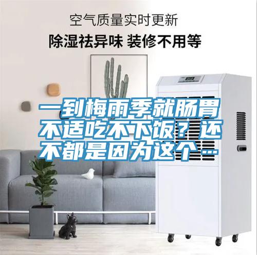 一到梅雨季就肠胃不适吃不下饭？还不都是因为这个…