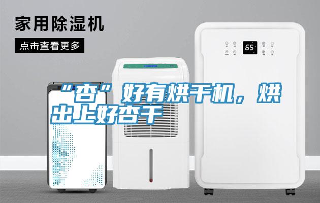 “杏”好有烘干机，烘出上好杏干
