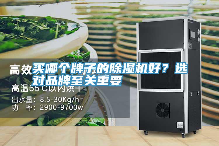 买哪个牌子的辣椒视频APP下载并安装好？选对品牌至关重要