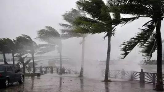 8月台风雨即将来，辣椒视频APP下载并安装还得用起来