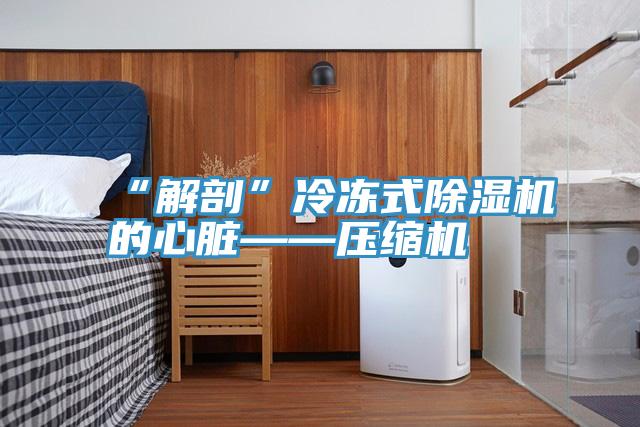 “解剖”冷冻式辣椒视频APP下载并安装的心脏——压缩机