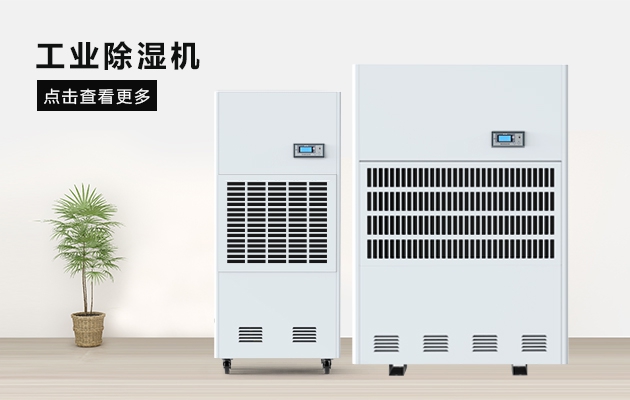 三八节送妈妈的礼物，选这款辣椒视频软件除湿器就对了