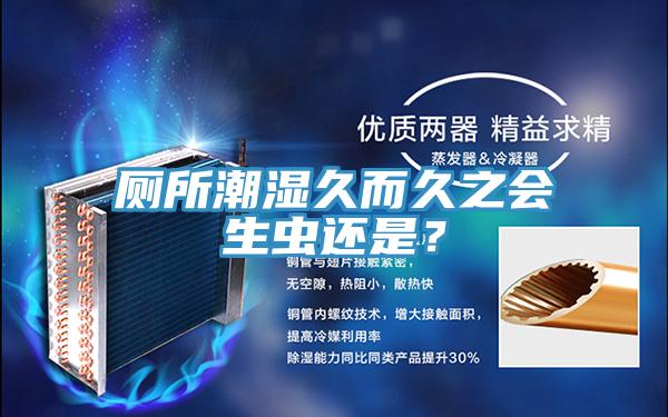 厕所潮湿久而久之会生虫还是？