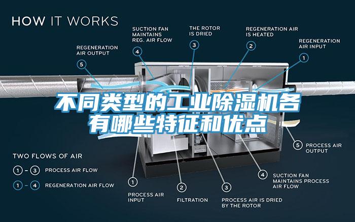 不同类型的工业辣椒视频APP下载并安装各有哪些特征和优点