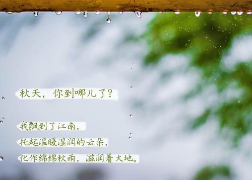“无晴”阴雨天 “有晴”辣椒视频APP下载并安装