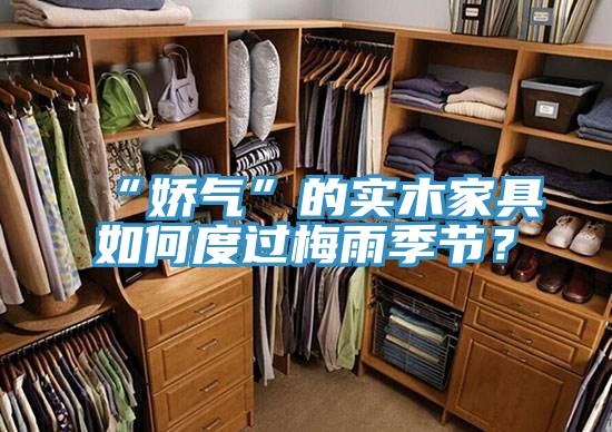 “娇气”的实木家具如何度过梅雨季节？