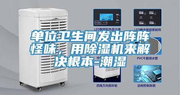 单位卫生间发出阵阵怪味，用辣椒视频APP下载并安装来解决根本-潮湿