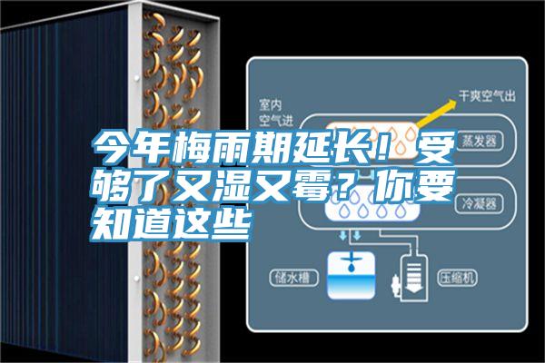 今年梅雨期延长！受够了又湿又霉？你要知道这些