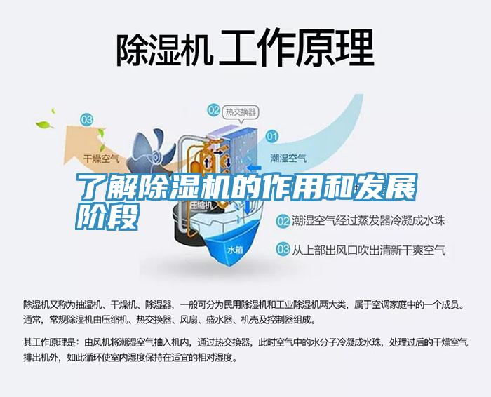 了解辣椒视频APP下载并安装的作用和发展阶段
