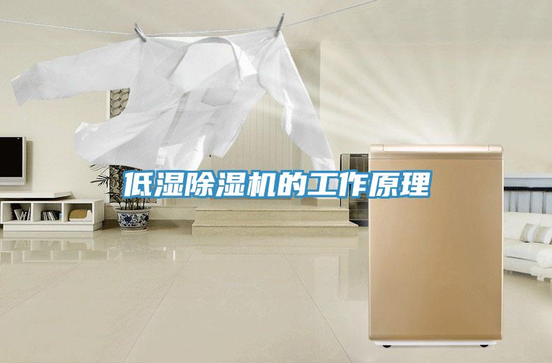 低湿辣椒视频APP下载并安装的工作原理