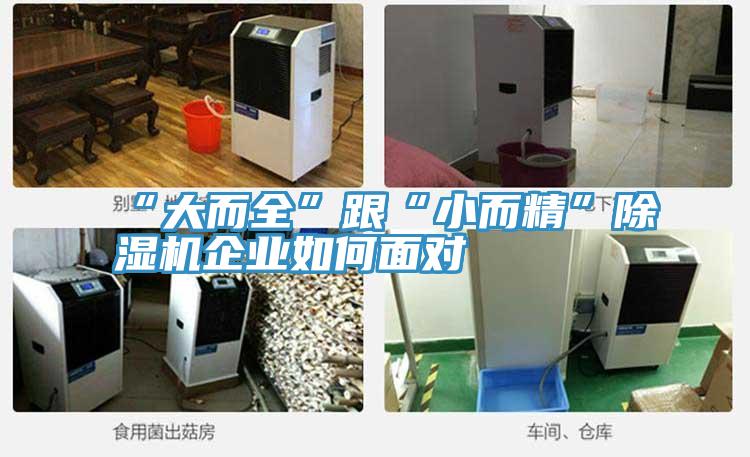 “大而全”跟“小而精”辣椒视频APP下载并安装企业如何面对