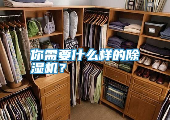 你需要什么样的辣椒视频APP下载并安装？