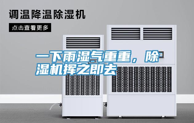 一下雨湿气重重，辣椒视频APP下载并安装挥之即去