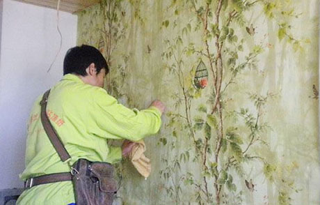 工业辣椒视频APP下载并安装厂家
