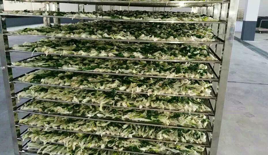 菜干需求一直都很大，蔬菜烘干机很有市场