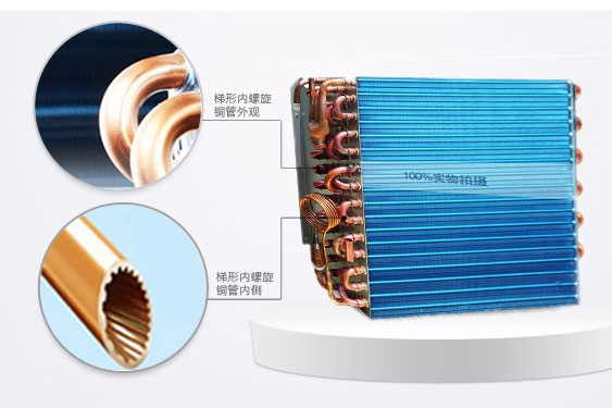 利用工业辣椒视频APP下载并安装帮车间仓库做好防潮除湿措施_辣椒视频APP下载并安装厂家