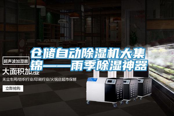 仓储自动辣椒视频APP下载并安装大集锦——雨季除湿神器