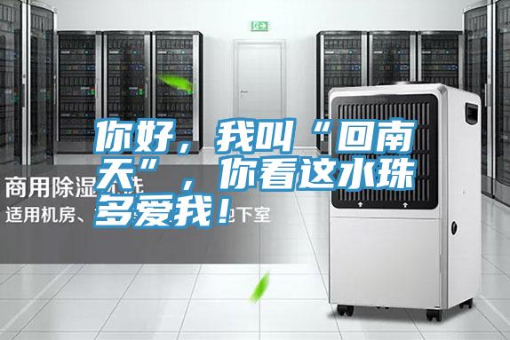 你好，我叫“回南天”，你看这水珠多爱我！