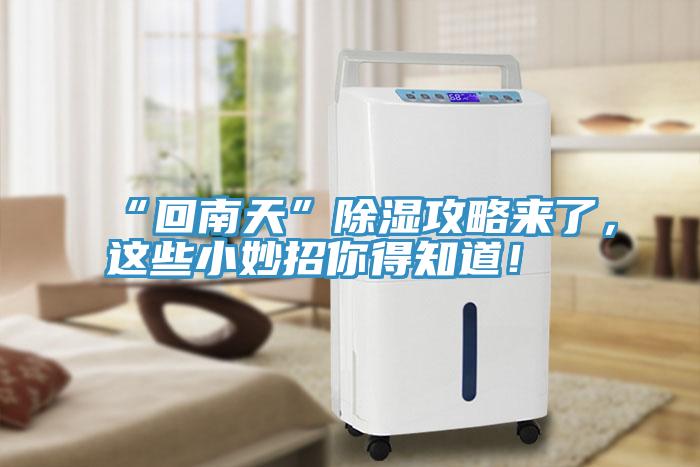 “回南天”除湿攻略来了，这些小妙招你得知道！