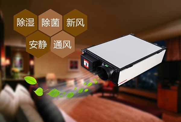 如何预防办公室装修后的防潮问题？