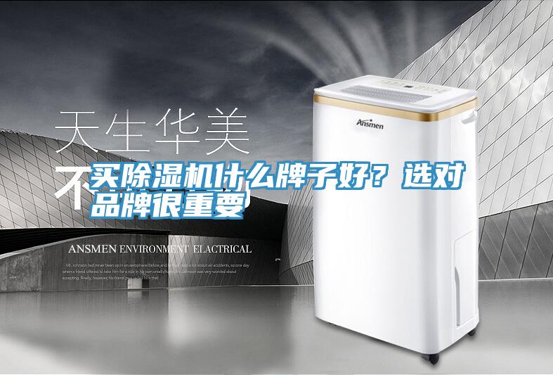 买辣椒视频APP下载并安装什么牌子好？选对品牌很重要