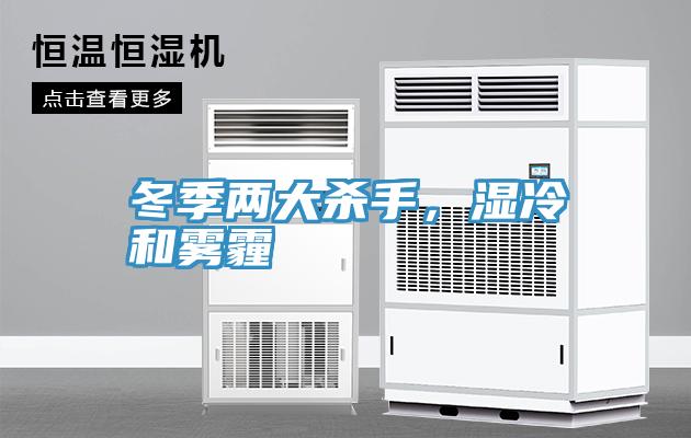 冬季两大杀手，湿冷和雾霾