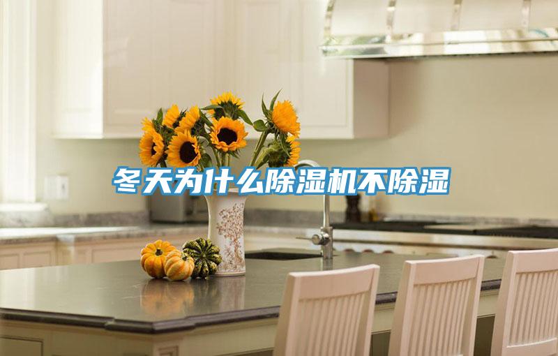 冬天为什么辣椒视频APP下载并安装不除湿