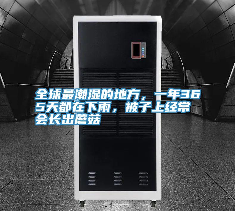 全球最潮湿的地方，一年365天都在下雨，被子上经常会长出蘑菇