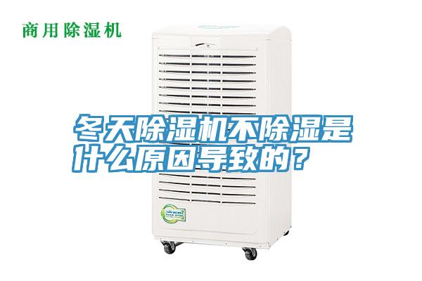 冬天辣椒视频APP下载并安装不除湿是什么原因导致的？