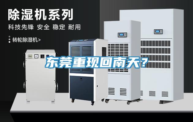 东莞重现回南天？