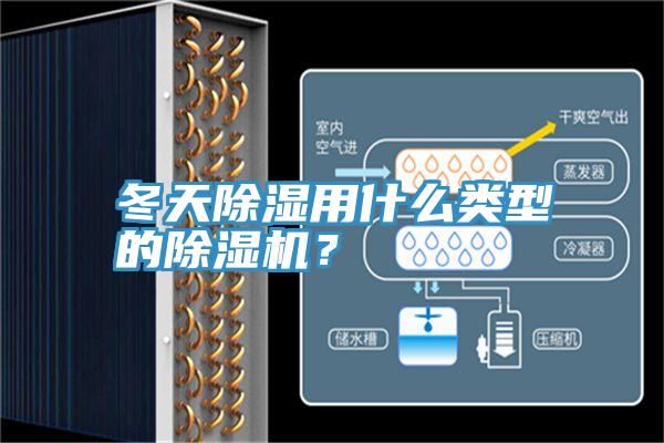冬天除湿用什么类型的辣椒视频APP下载并安装？