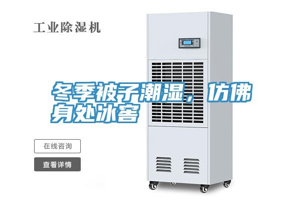 冬季被子潮湿，仿佛身处冰窖