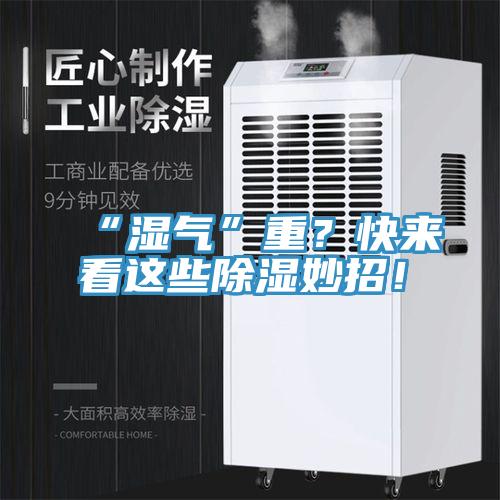 “湿气”重？快来看这些除湿妙招！