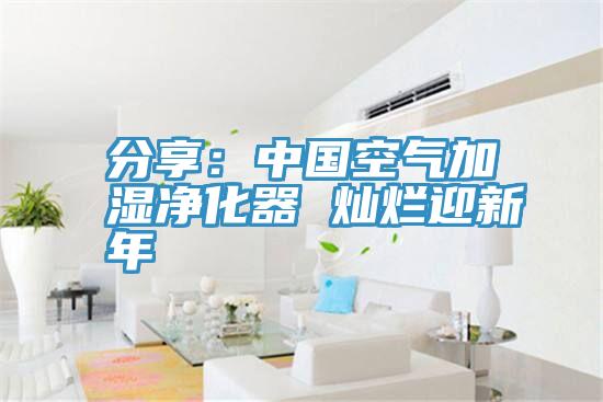 分享：中国空气加湿净化器 灿烂迎新年
