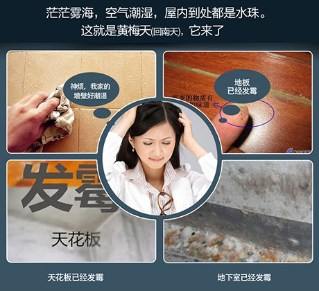 家庭别墅的地下室、卫生间、储物室等该如何除湿？
