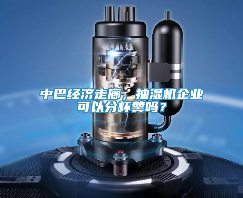 中巴经济走廊，抽湿机企业可以分杯羹吗？