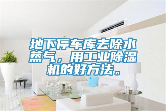 地下停车库去除水蒸气，用工业辣椒视频APP下载并安装的好方法。