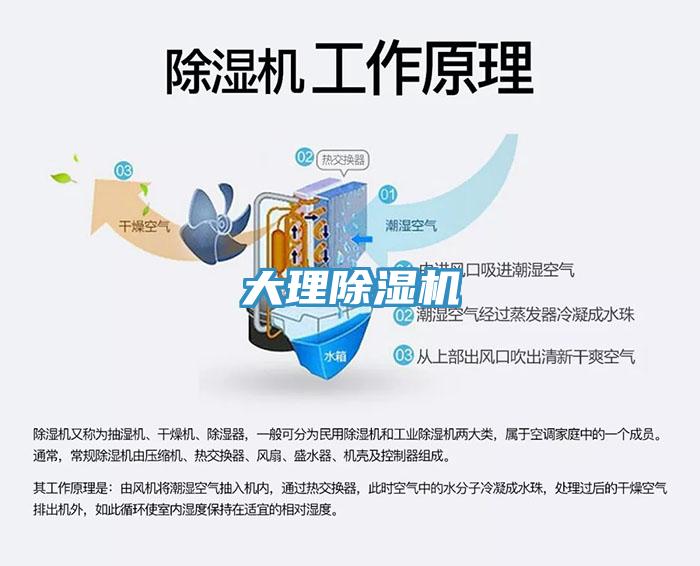 大理辣椒视频APP下载并安装