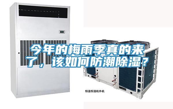 今年的梅雨季真的来了，该如何防潮除湿？
